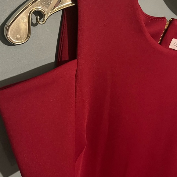 SELLING CALVIN KLEIN DRESS SIZE 10 COLOR RED PLUM BNWT - Picture 13 of 16
